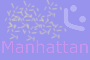 We have good maps of Manhattan