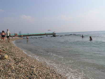 Ласкающее море