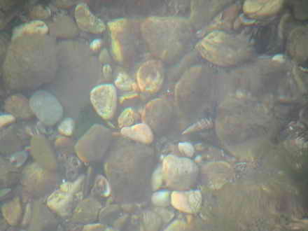 Pebble floor