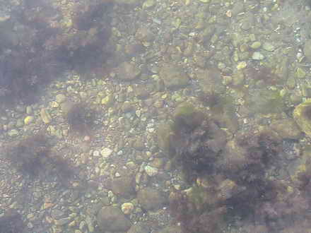 Seabed