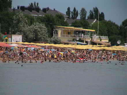 Rookery of holidaymakers
