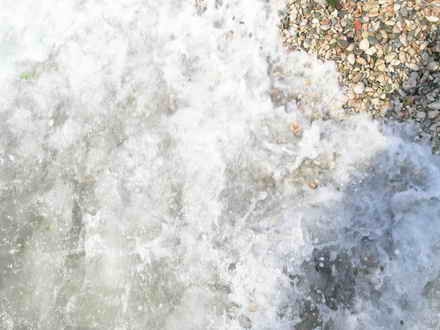 Sea foam