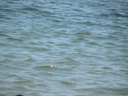 Warm sea