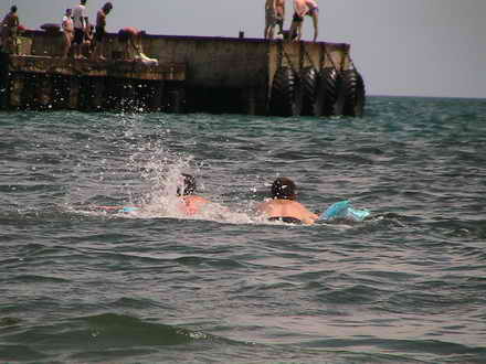 Let us swim over there