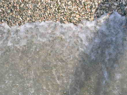 Loveable sea surf