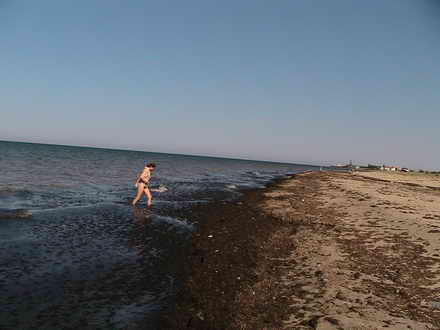 Algae attack
