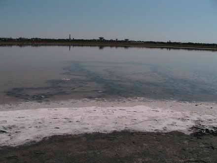 The deposit of salt