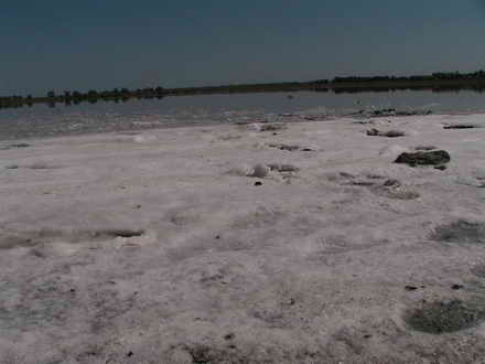 Salt beach