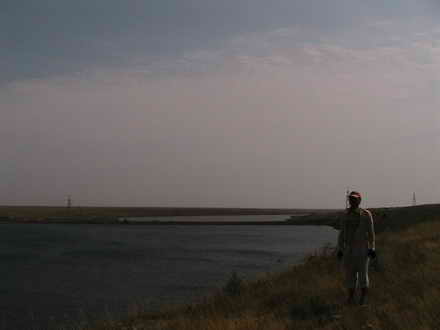 A friend on the Bay