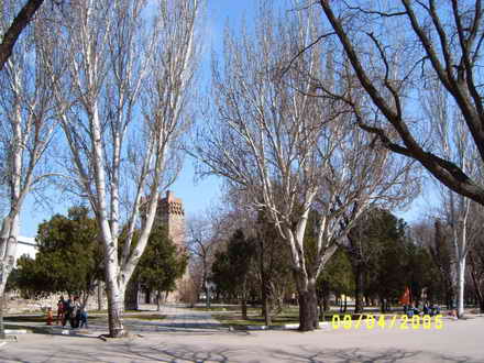 Tower of Constantine