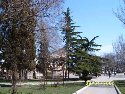 Дорожка, парк Юбилейный