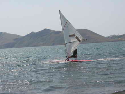 Windsurfing Mustang in action