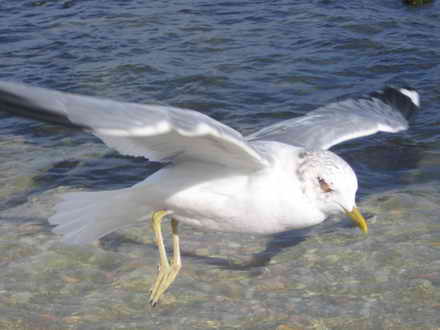 Photography by seagull