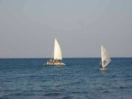 Sailboats