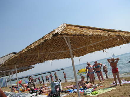 Beach life
