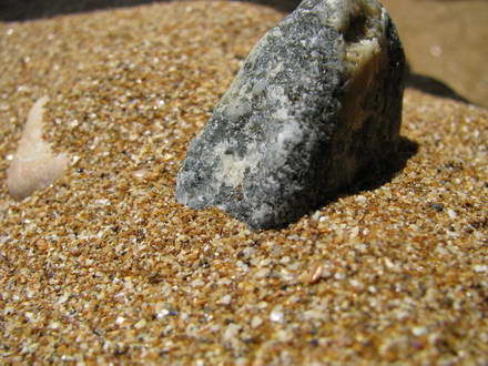 Beach Dynamo. A fly in the ointment
