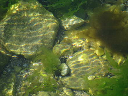 Seabed