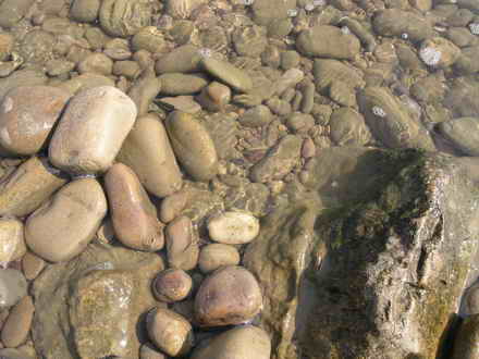 The rounded shape of stones