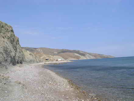 Beach Bay Wildlife Dvuyakoronoy
