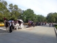 Horse and Carriage Rides in Central Park