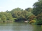 Central Park pond